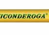 Buy ✨ Ticonderoga Beginners Oversized Pencils, No 2 Thick Tip, Pack Of 12 😍 -School Smart - shop 017667 ecommfullsize